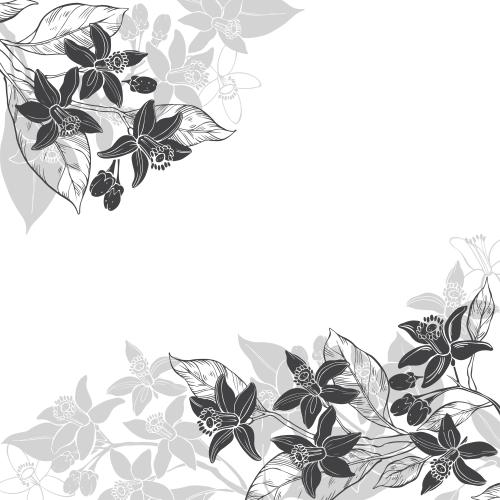 苦橙花油。矢量图 橙花文字区域白色背景上的黑色和灰色剪影角形构图