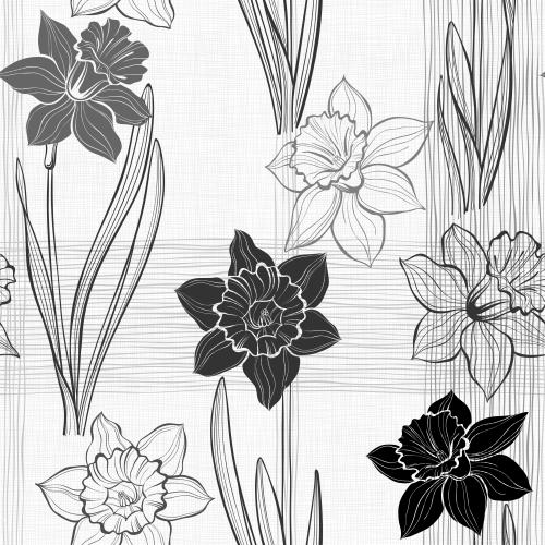 水仙花。矢量图 水仙花与白色格子背景上交叉的垂直和水平线条