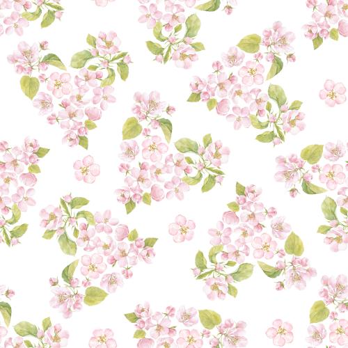 原创位图 水彩苹果花和叶心形在白色
