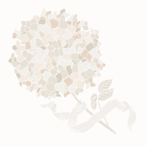 绣球花。矢量图 绣球花带丝带，浅色系
