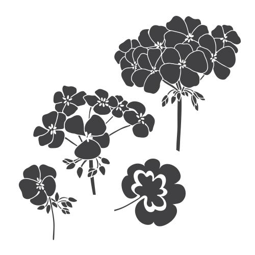天竺葵。矢量图 天竺葵花朵与叶子，黑色剪影在白色背景上