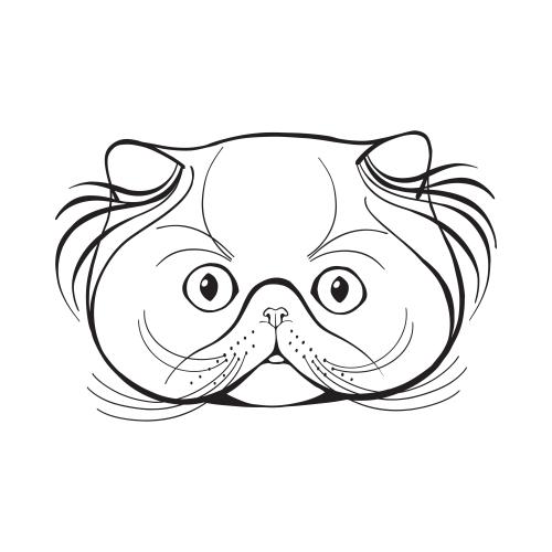 波斯猫。矢量图 波斯猫可爱白脸