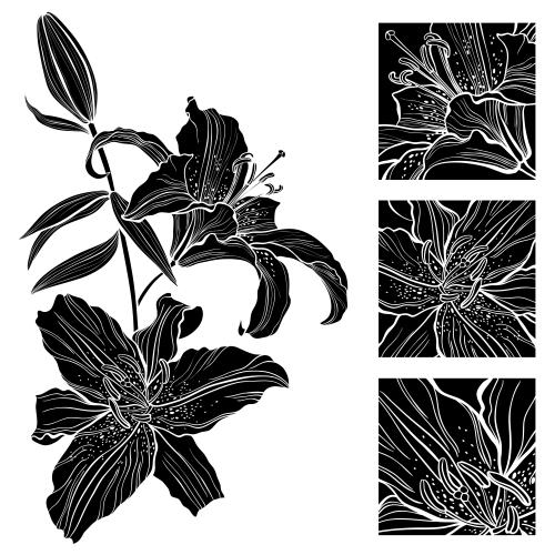 百合。矢量图 黑色百合花瓣轮廓三联方形花碎图白色背景