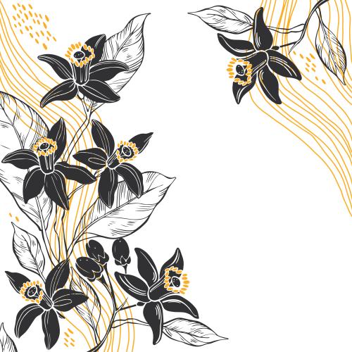 苦橙花油。矢量图 苦橙花，波浪线，白色文本框，角形构图
