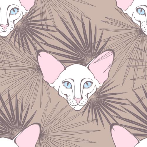 东方猫。矢量图 东方猫-可爱的脸庞与棕榈叶在柔和棕色背景上