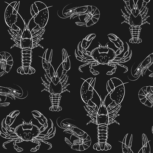 小龙虾。矢量图 螃蟹、龙虾、小龙虾、虾、黑底白边