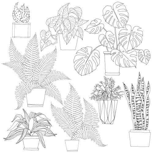 仙人掌。矢量图 白底盆栽室内植物