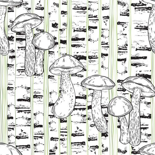 矢量图片 桦树牛肝菌，桦树干造型，彩色竖条纹