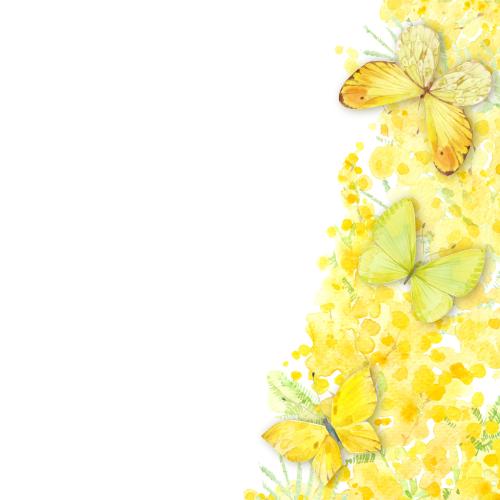 原创位图 水彩 米摩莎和蝴蝶，白色留白处