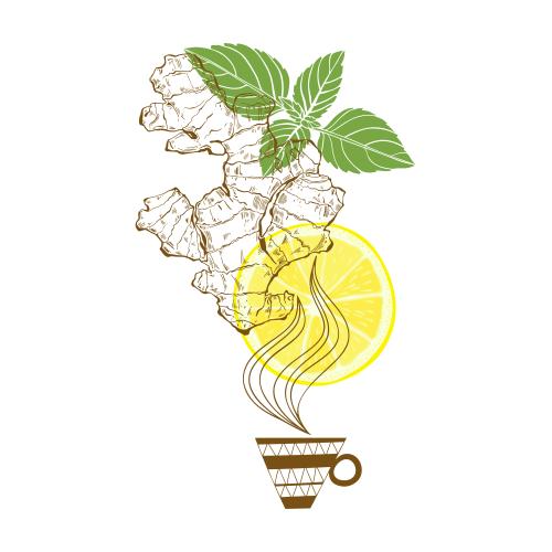 植物。矢量图 白底姜薄荷柠檬茶