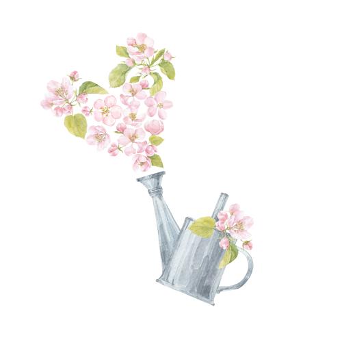 原创位图 白底苹果花与洒水壶春日装饰画