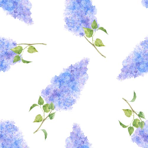 原创位图 白底水彩紫丁香
