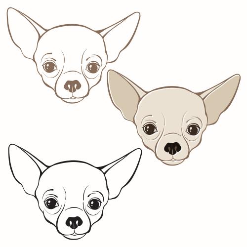 吉娃娃犬。矢量图 三个白色背景上的吉娃娃狗分隔图案
