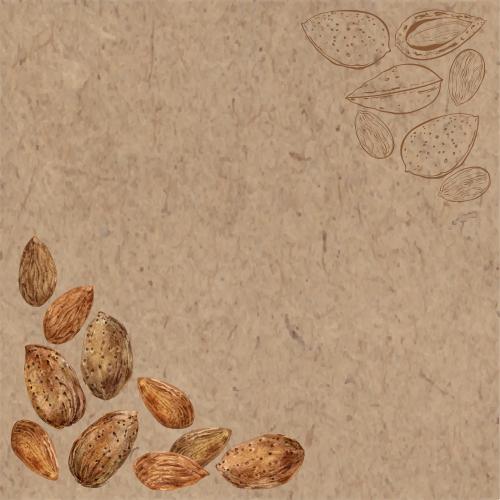 原创位图 牛皮纸背景上带文字空间的水彩和图形杏仁角构图