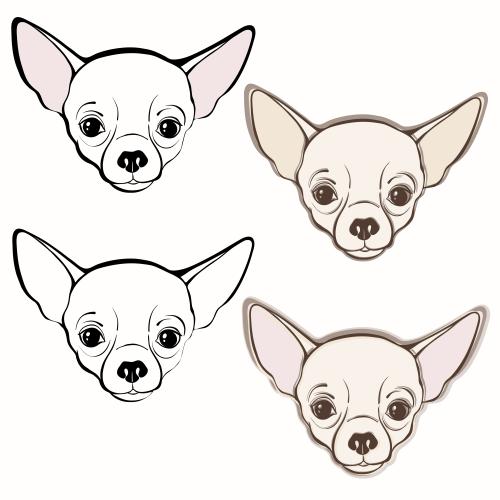 吉娃娃犬。矢量图 可爱的吉娃娃脸部，四个白色背景上的孤立元素