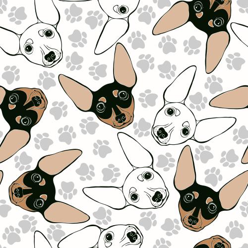 狗。矢量图 可爱的腊肠犬小脸蛋和白色背景上的爪印