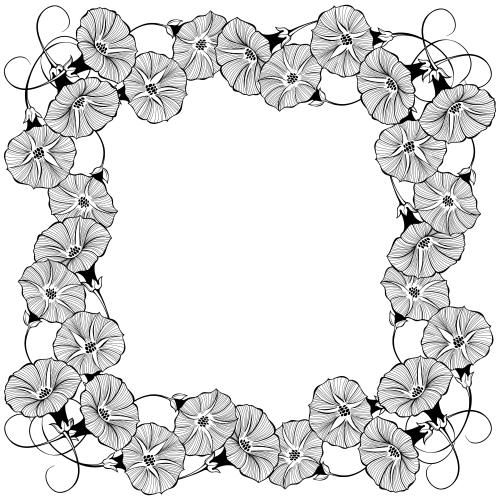 牵牛花。矢量图 牵牛花，方形白相框