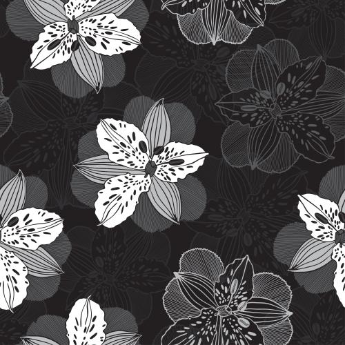 鸢尾花。矢量图 黑底上的鸢尾花