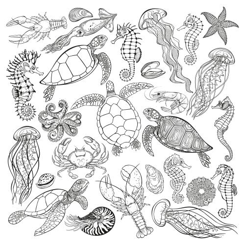 水母。矢量图 海龟、水母、海马、章鱼、龙虾、八爪鱼、鹦鹉螺、螃蟹、虾、贻贝、牡蛎、海胆白底