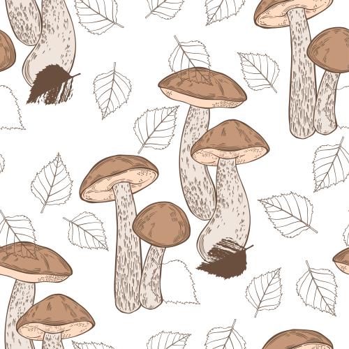 矢量图片 桦树牛肝菌，白底桦树叶