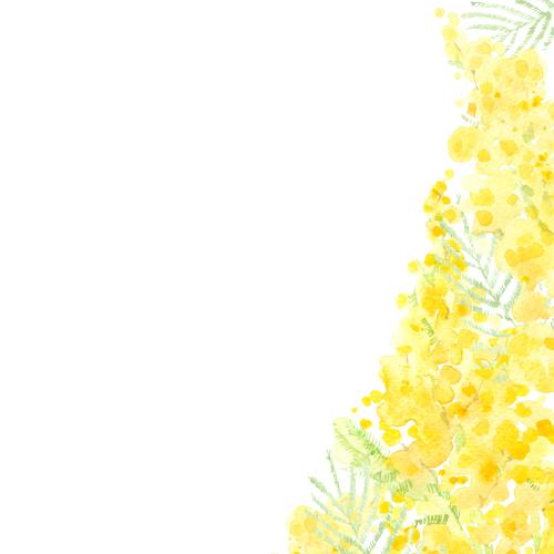 原创位图 水彩含羞草白色留白区域角落构图