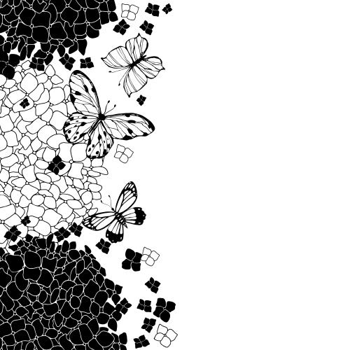 绣球花。矢量图 绣球花，轮廓和剪影，蝴蝶，白色文字区