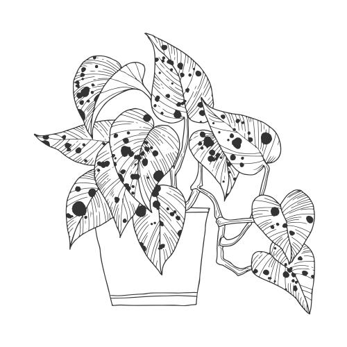 物品。矢量图 白花盆中的室内植物