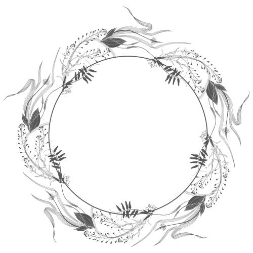 马齿苋。矢量图 圆框配野花和药草，车前草，荠菜，白色背景