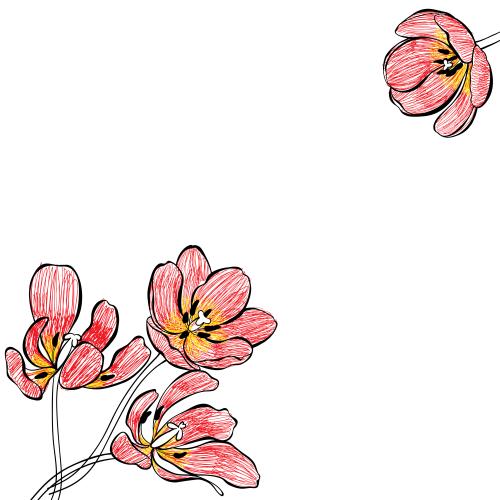 郁金香。矢量图 郁金香，白色背景上的文字空间，角落构图