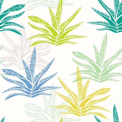 矢量图片 多肉植物，多彩剪影和轮廓在白色背景上