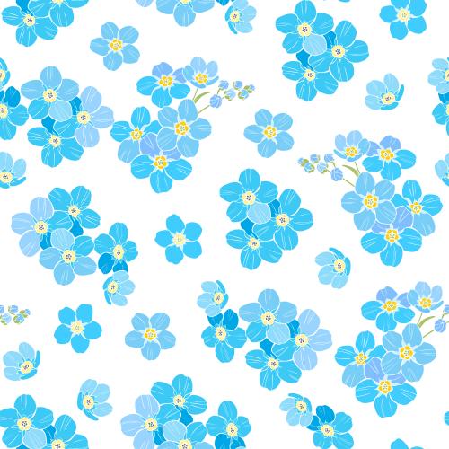 勿忘我花。矢量图 白底勿忘我