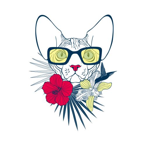 无毛猫。矢量图 荒漠猫戴着太阳镜，周围是棕榈叶、兰花和木槿花，还有蜂鸟在白色背景上。