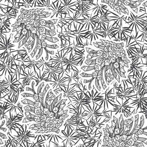 松果。矢量图 松果和松针