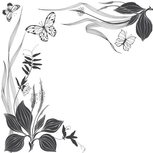 矢量图片 车前草, 草甸植物, 蝴蝶和留白文字区的白色角落构图