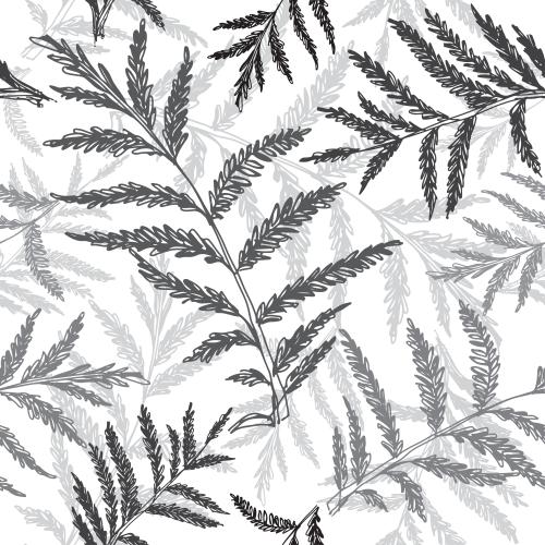 蕨类植物。矢量图 白底单色蕨类枝条