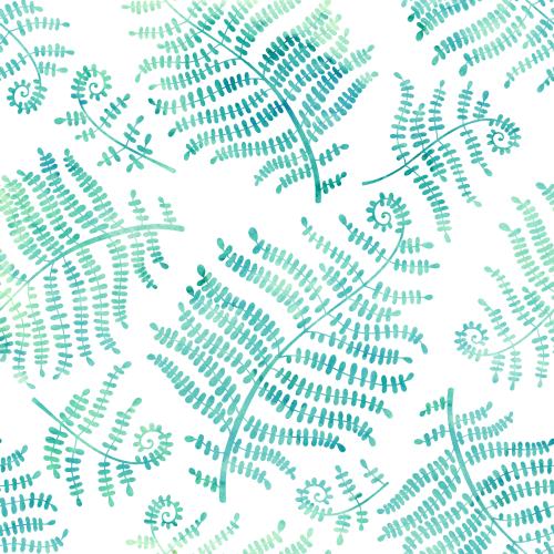 蕨类植物。矢量图 水彩蕨叶白底