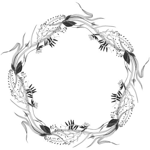 马齿苋。矢量图 草地花环相框