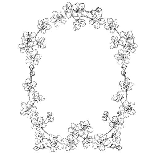 花苞。矢量图 白花边