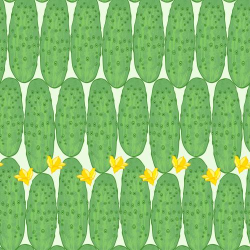 蔬菜。矢量图 黄瓜和黄瓜花