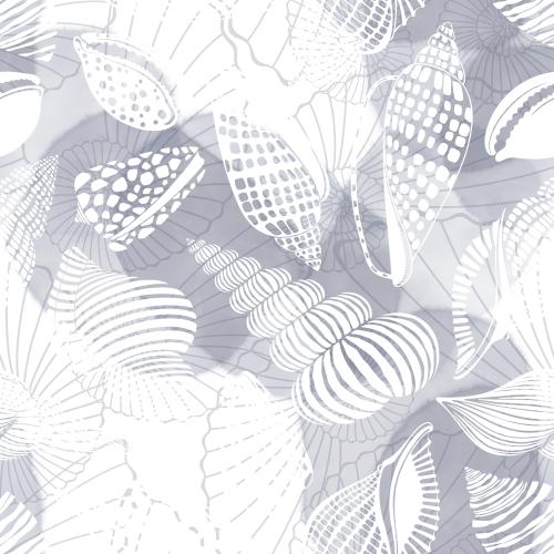 原创位图 海扇贝壳，鹦鹉螺，白色背景上的灰色水彩斑点