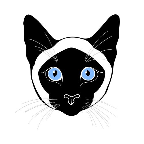 暹罗猫。矢量图 暹罗猫彩色可爱的面孔在白色背景上