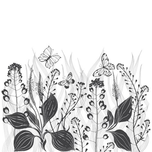 马齿苋。矢量图 草原草,花朵和蝴蝶,白色文字区