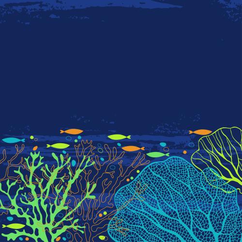 海滩。矢量图 珊瑚、海藻、海浪、彩色鱼、蓝色文字区
