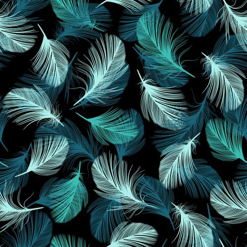 羽毛。矢量图 彩羽黑底