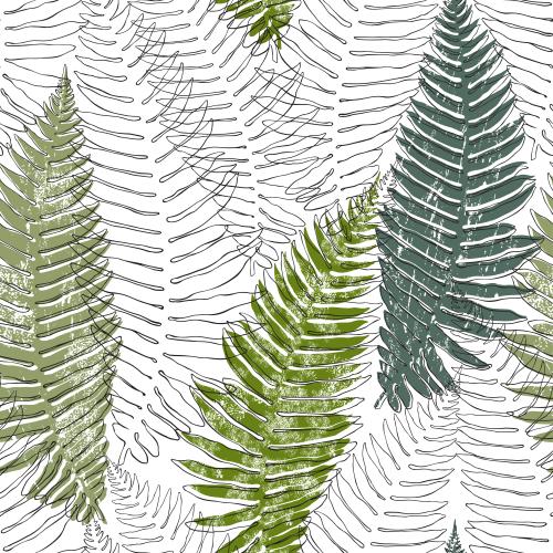 矢量图片 蕨类植物、轮廓和白色背景上的纹理剪影