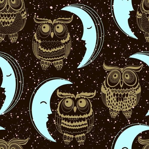 月亮。矢量图 卡通猫头鹰、月亮和装饰星斑黑色背景