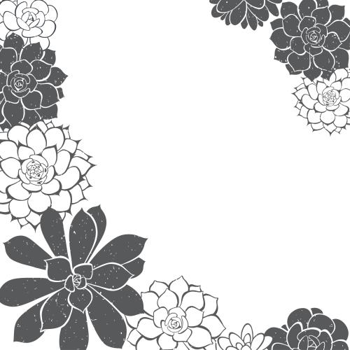 多肉植物。矢量图 多肉植物、白色背景上的黑色剪影和轮廓、带文字空间的角形构图