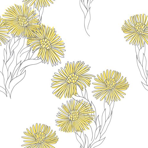 矢量图片 白花山茱萸
