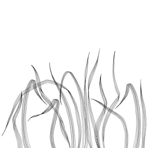 矢量图片 草白文区