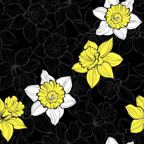 水仙花。矢量图 黑底水仙花